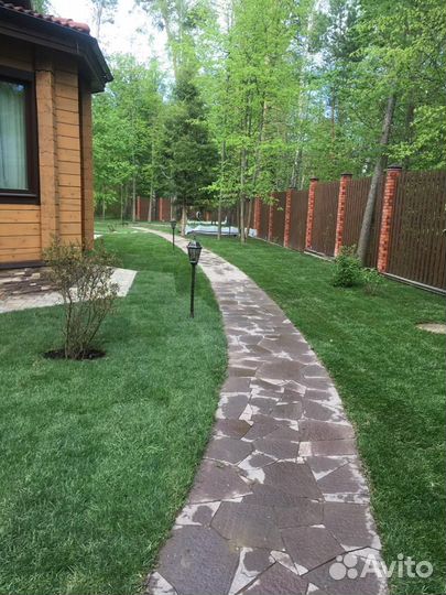 Рулонные газоны