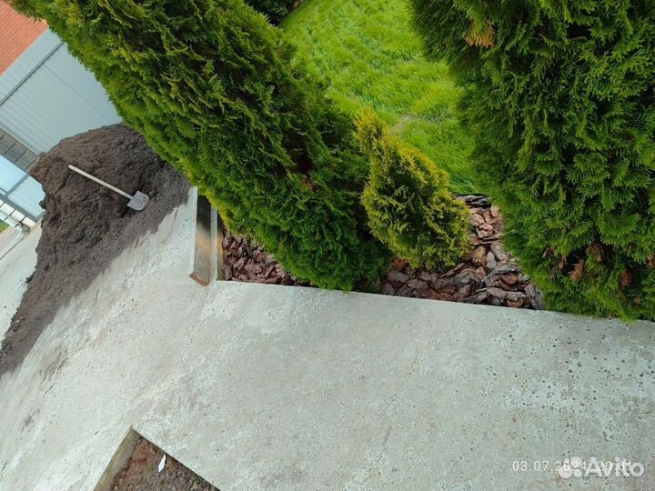 Кора сосновая