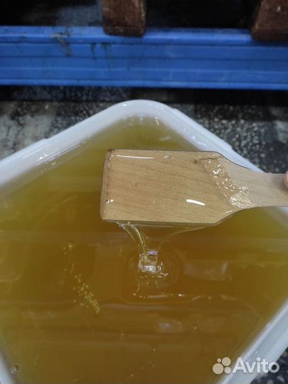 Липовый мёд оптом Свежий