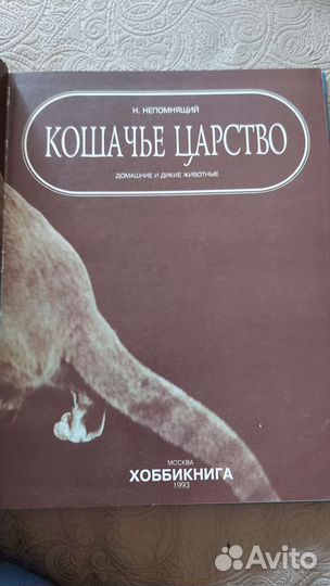Книга о кошках