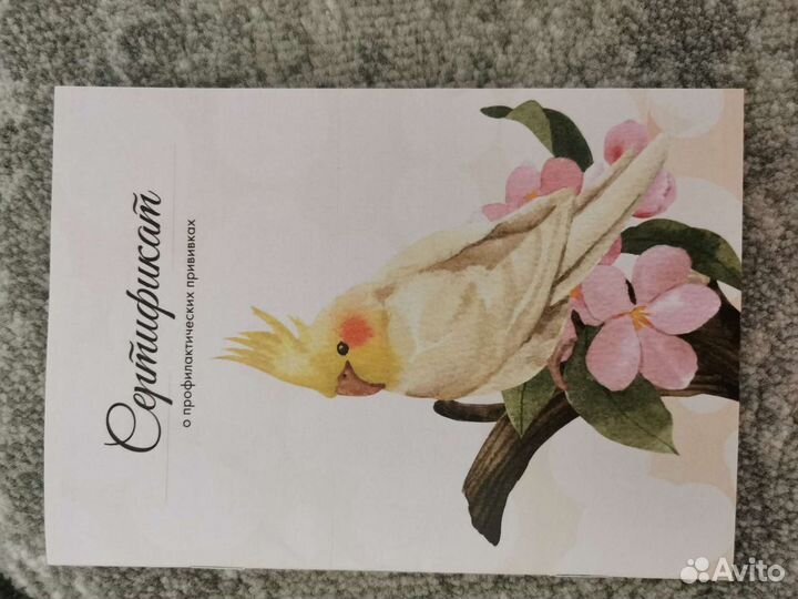 Сертификат о профилактических прививках