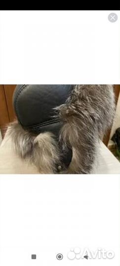 Шапка из меха Чернобурки