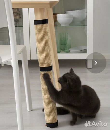 Когтеточка лурвиг