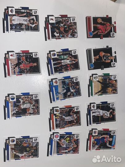 Panini nba