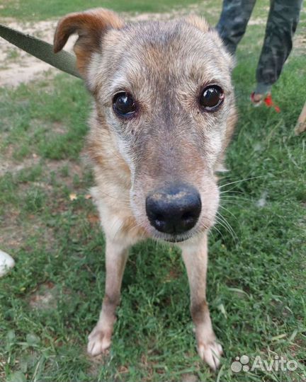 Куколка ждет своего человека