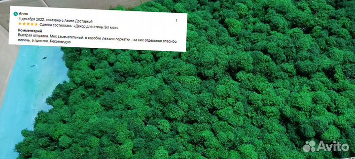 Стабилизированный мох moss decor ягель yagel