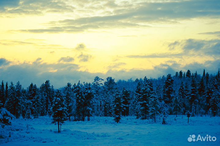 Зимний тур в Териберку