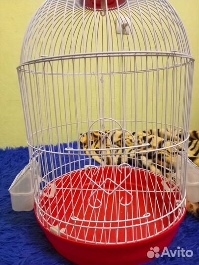 Клетка для попугая