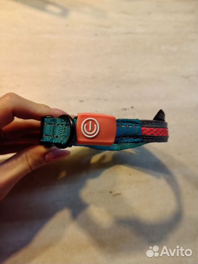 Поводок рулетка для собак и ошейник светящийся