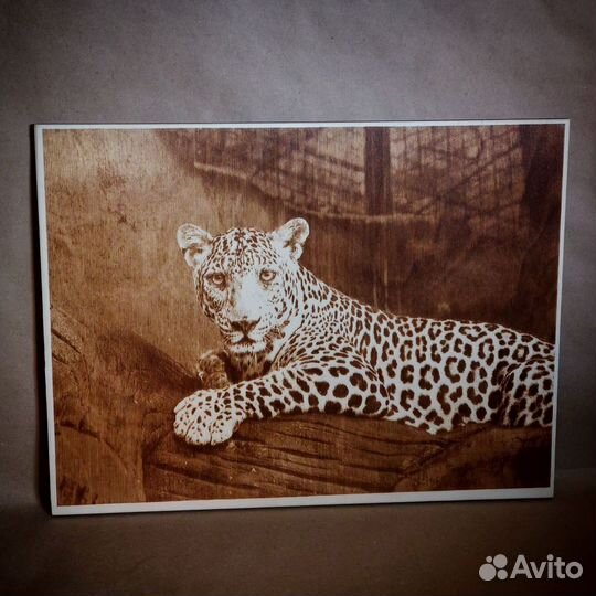 Выжигатель Пиропринтер