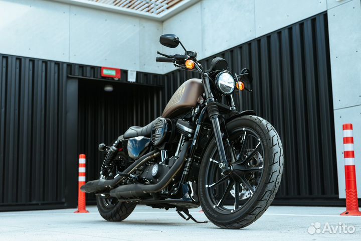 Harley Davidson Sportster 883 2022