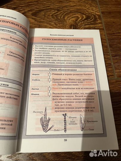 Справочник по биологии