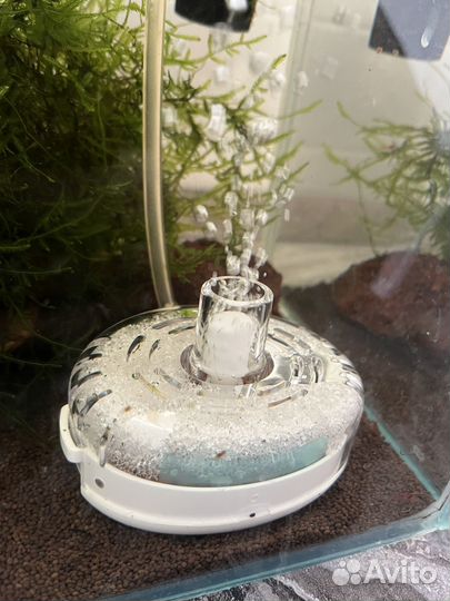 Фильтр для аквариума