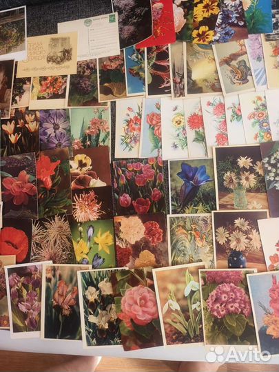 Открытки СССР