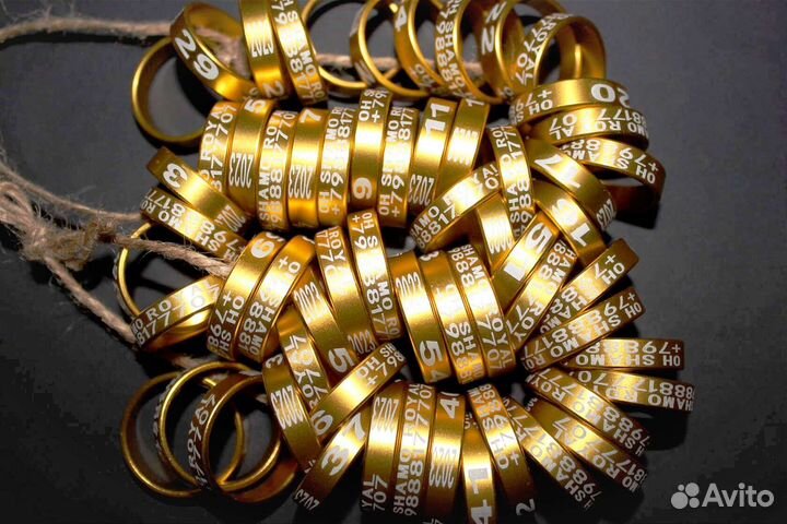 Кольца для кур бойцовых петухов