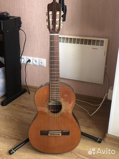 Классическая гитара kodaira