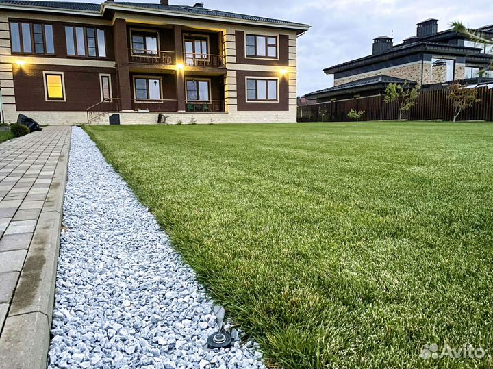 Рулонный газон: производство, доставка, укладка