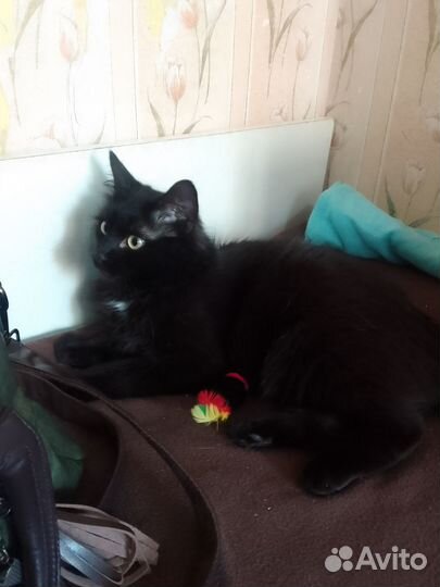 Самый обаятельный и привлекательный