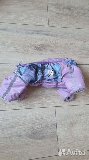 Комбинезон одежда для собак