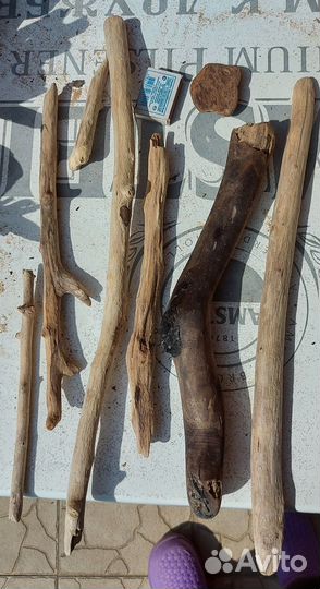 Коряги с моря дрифтвуд