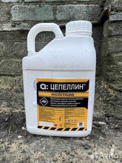 Альтерр,Мамба,Фатрин,Цепеллин,Фаскорд,Ци-Альфа