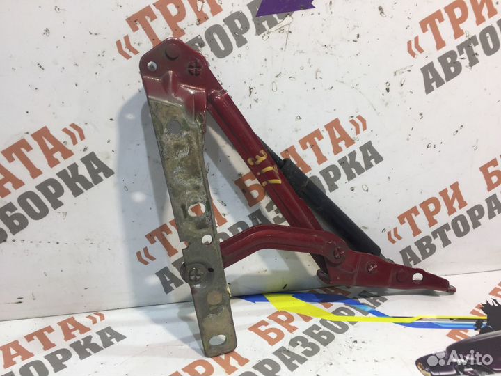 Форд Фокус Петля багажника правая Прав