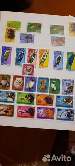 Почтовые марки СССР