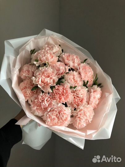 Шикарные Гвоздики Ставрополь Доставка