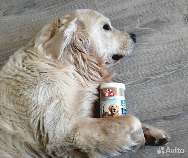 Кормовая добавка Excel Brewer's Yeast