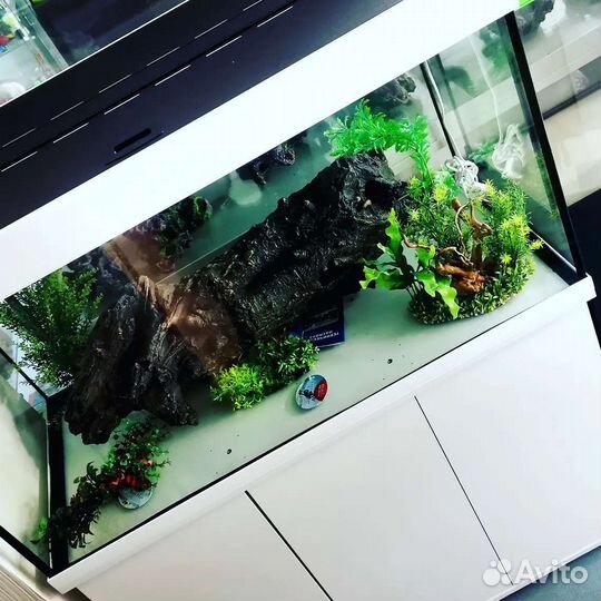Аквариум и декор