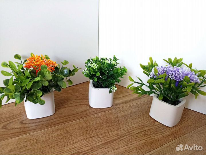 Декоративные цветы и зелень