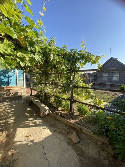 Дом 40,1 м² на участке 4 сот.