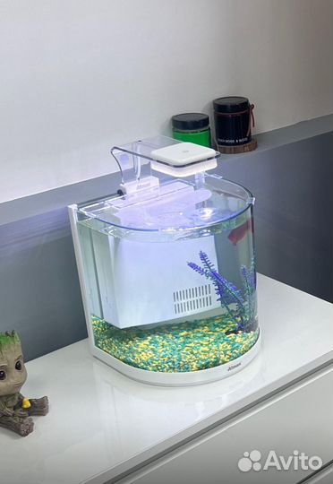 Аквариум с фильтром и светом