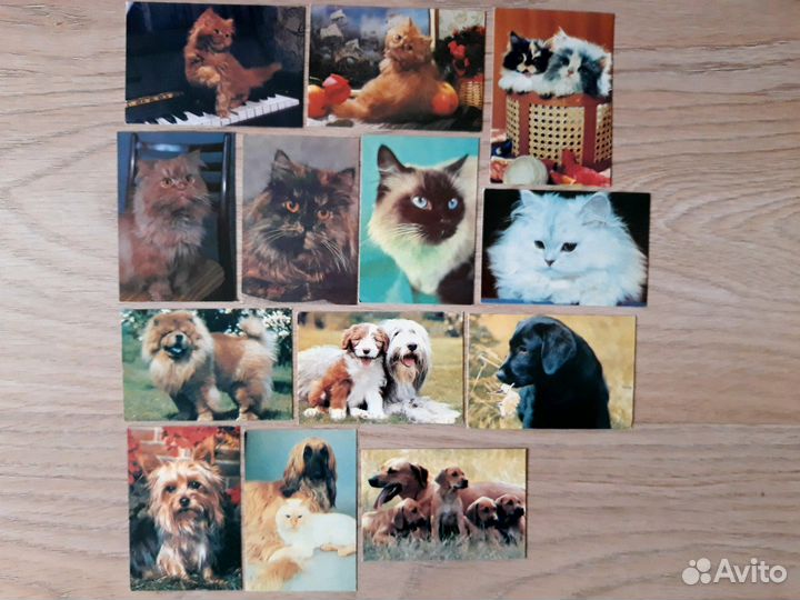 Календарики (Колпино)