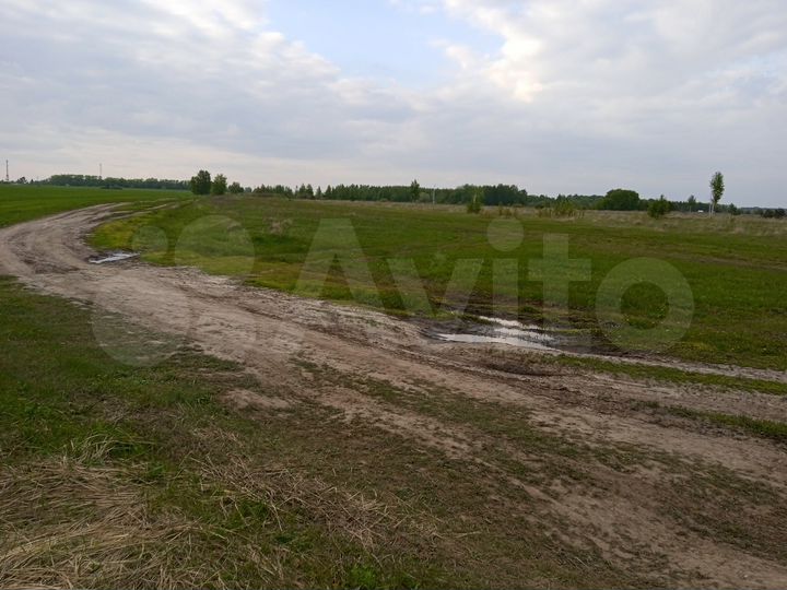 Участок 5,1 га (СНТ, ДНП)