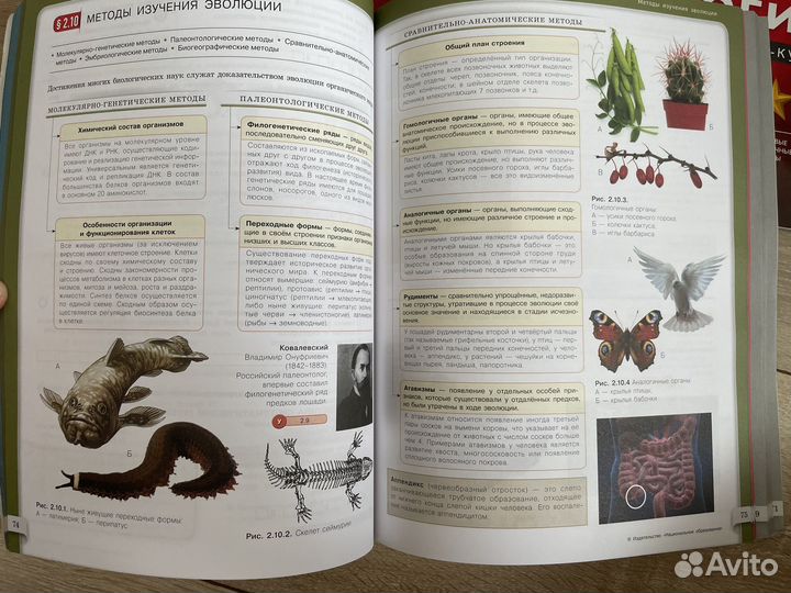 Пособие по биологии для подготовки к егэ рохлов