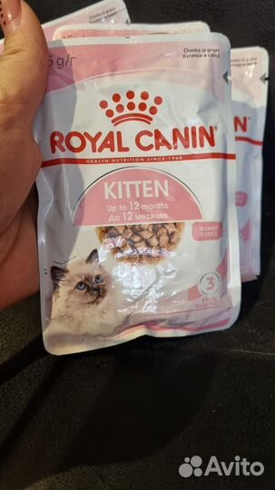 Влажный корм для котят Royal Canin Kitten