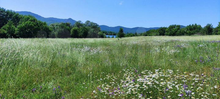 Участок 6,5 сот. (СНТ, ДНП)