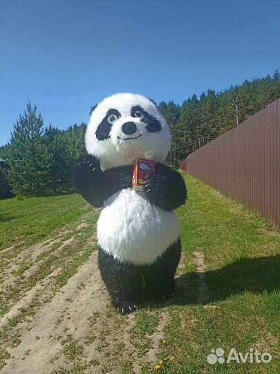 Аниматоры на день рождения мишка