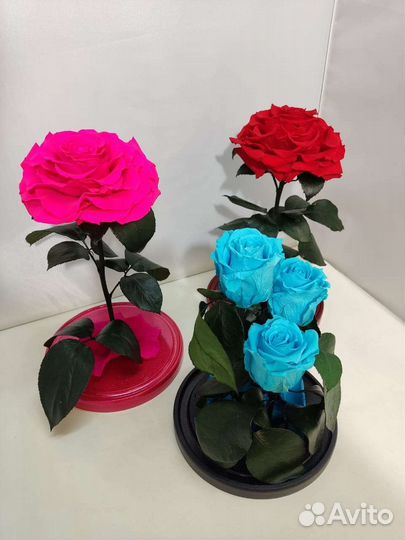 Розы оптом