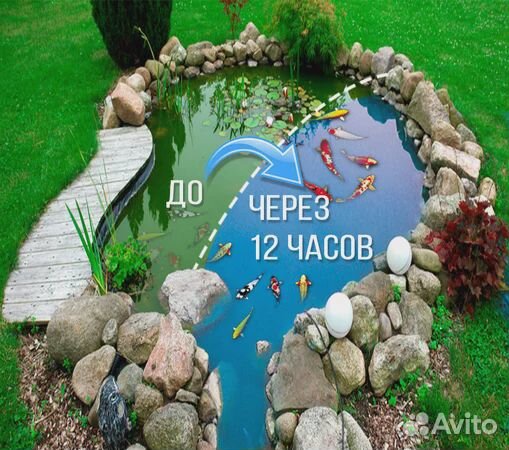 Препараты для пруда и корма для рыб, черепах