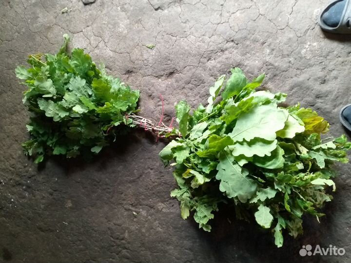 Дубовые и Берёзовые Веники свежие зелёные