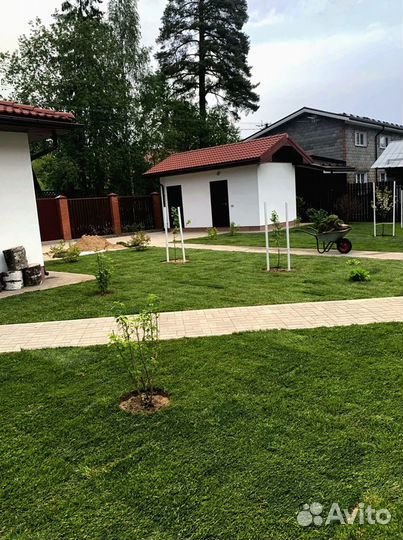 Рулонный газон 