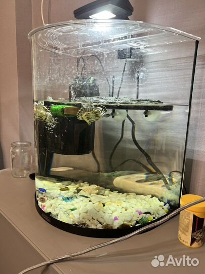 Аквариум + фильтр+лампа+ наполнение 60л