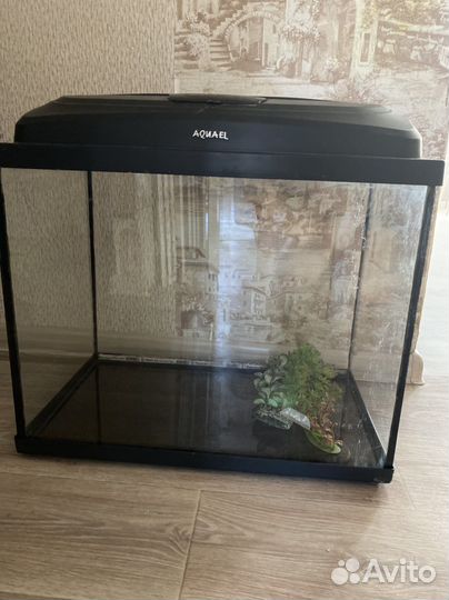 Аквариум 60л