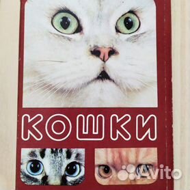 Как бесплатно скачать картинки на обои телефона Кошки (Коты Котики):