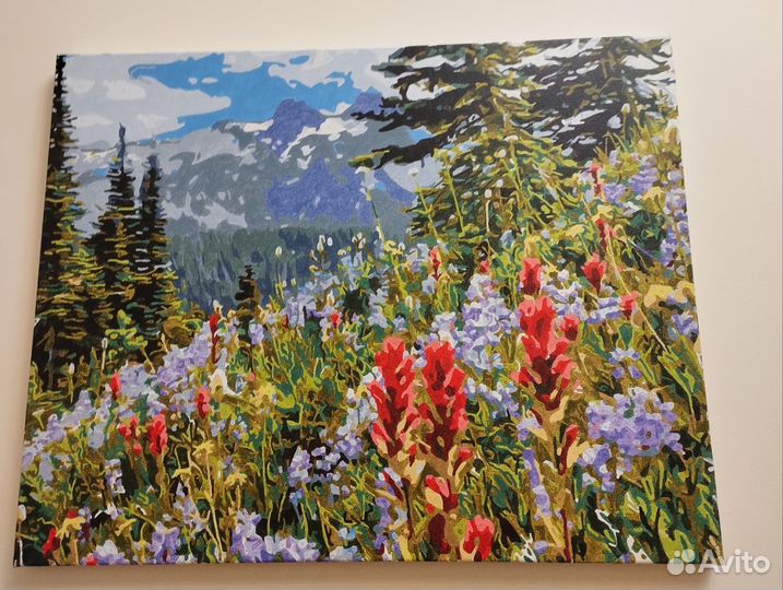 Картины по номерам раскрашенная