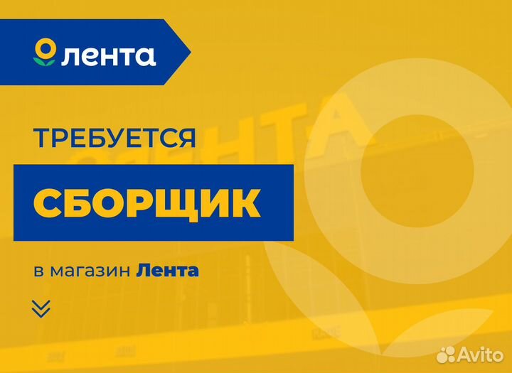 Сборщик заказов ежедневные выплаты