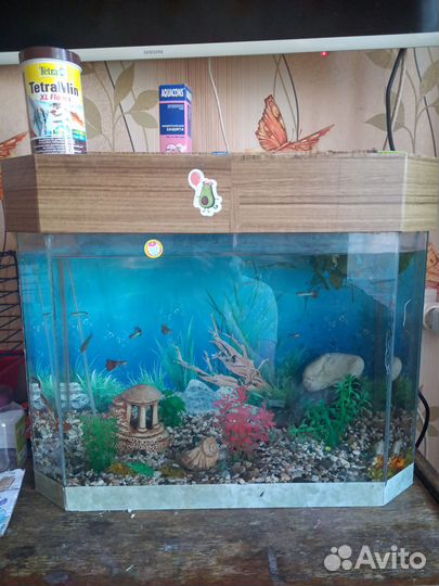 Аквариум с рыбками