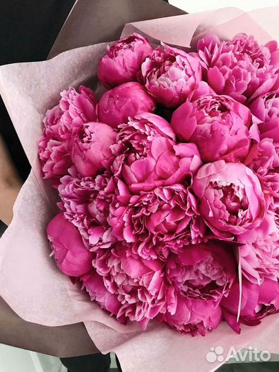 Пионы Цветы Доставка